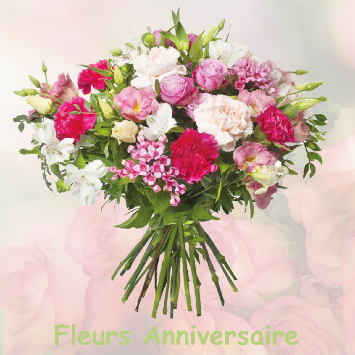 fleurs anniversaire NOIRCOURT